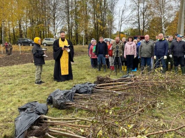 Иерей Андрей Денисов принял участие в акции "Восстановим фруктовый сад вместе"